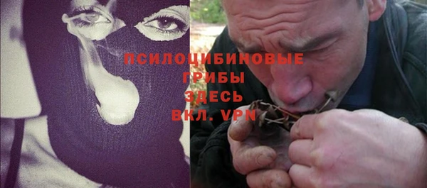 spice Алзамай